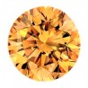1 CT/6,5 mm Moissanite Orange